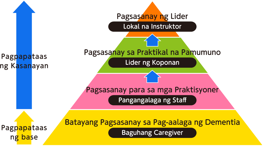 位置付けをピラミッド形式の図で表示している。下層部より、ベースアップ、認知症介護基礎研修、介護初任者。スキルアップ、実践者研修、介護スタッフ。実践リーダー研修、チームリーダー。指導者研修、地域のインストラクター。